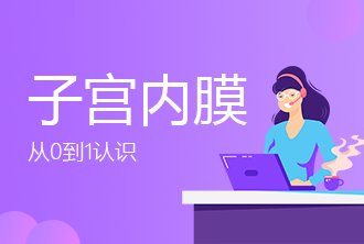 子宫内膜